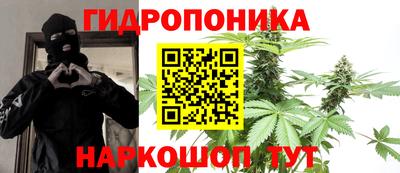 амф Кимры
