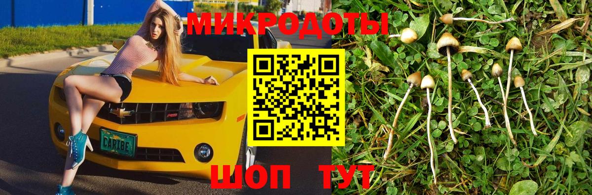 Псилоцибиновые грибы MAGIC MUSHROOMS Кудымкар