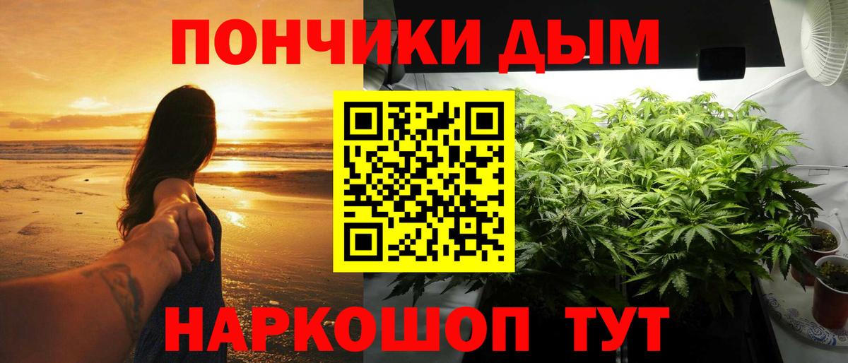 Каннабис гибрид Кудымкар